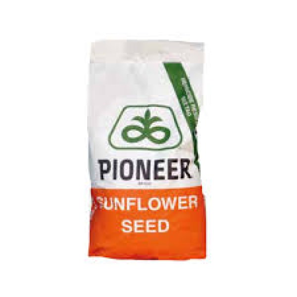 pioneer sunflower seed